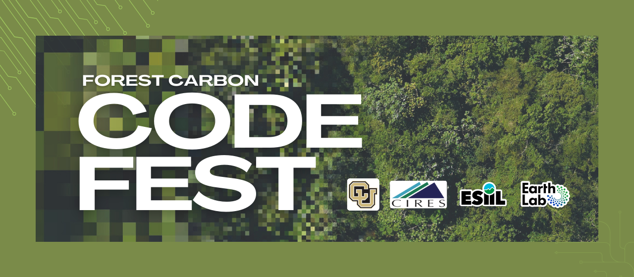 Forest pixel banner