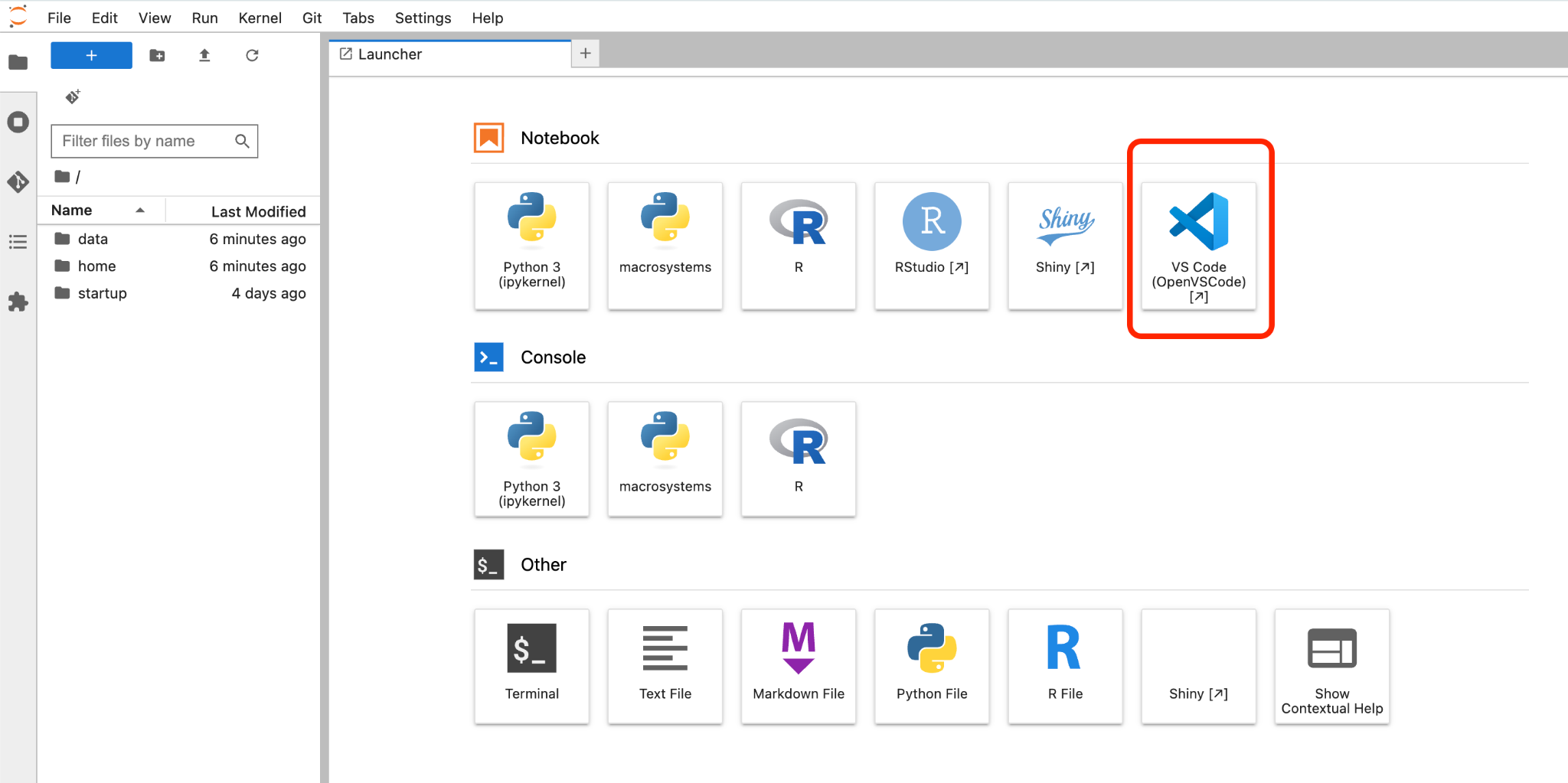 Screenshot showing the VS Code launcher inside the CyVerse workspace.