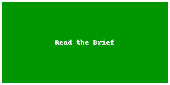 Project brief PDF