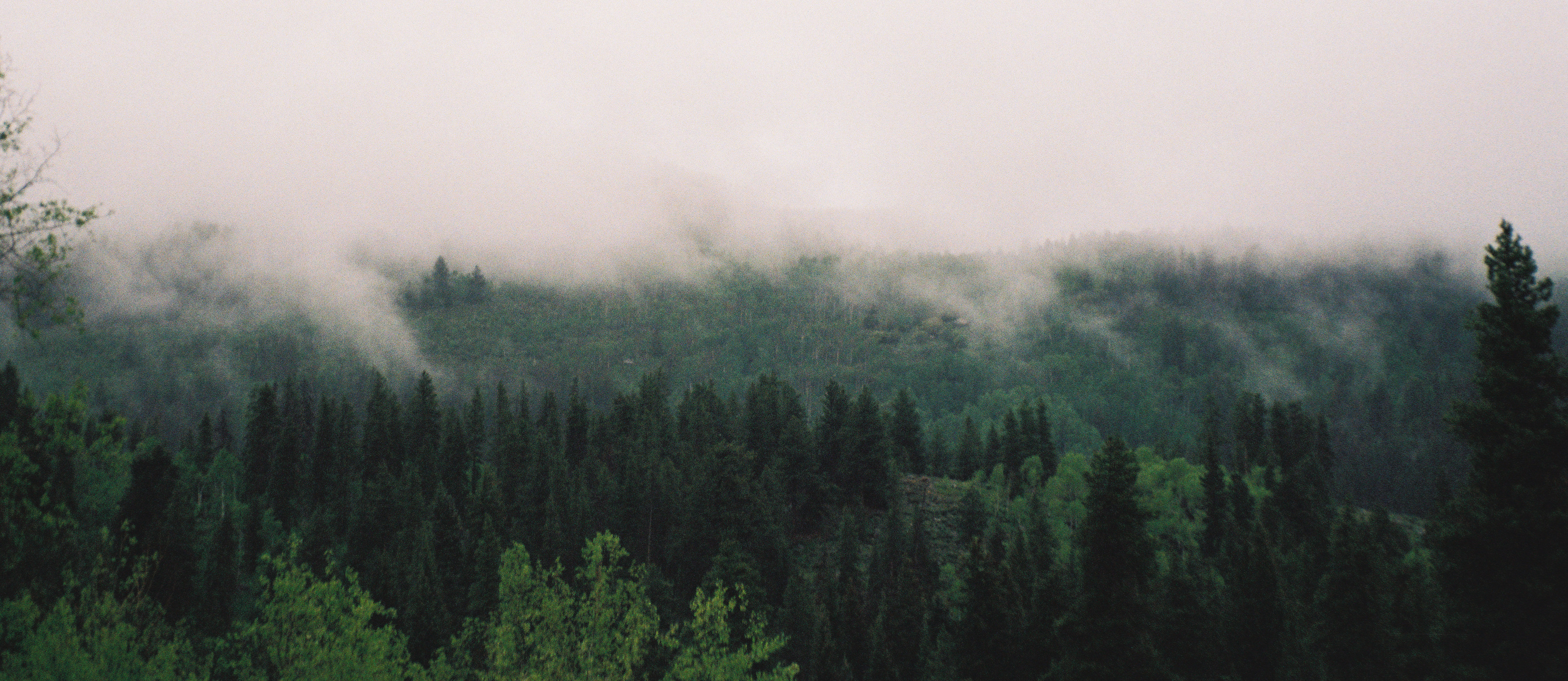 Nature photo
