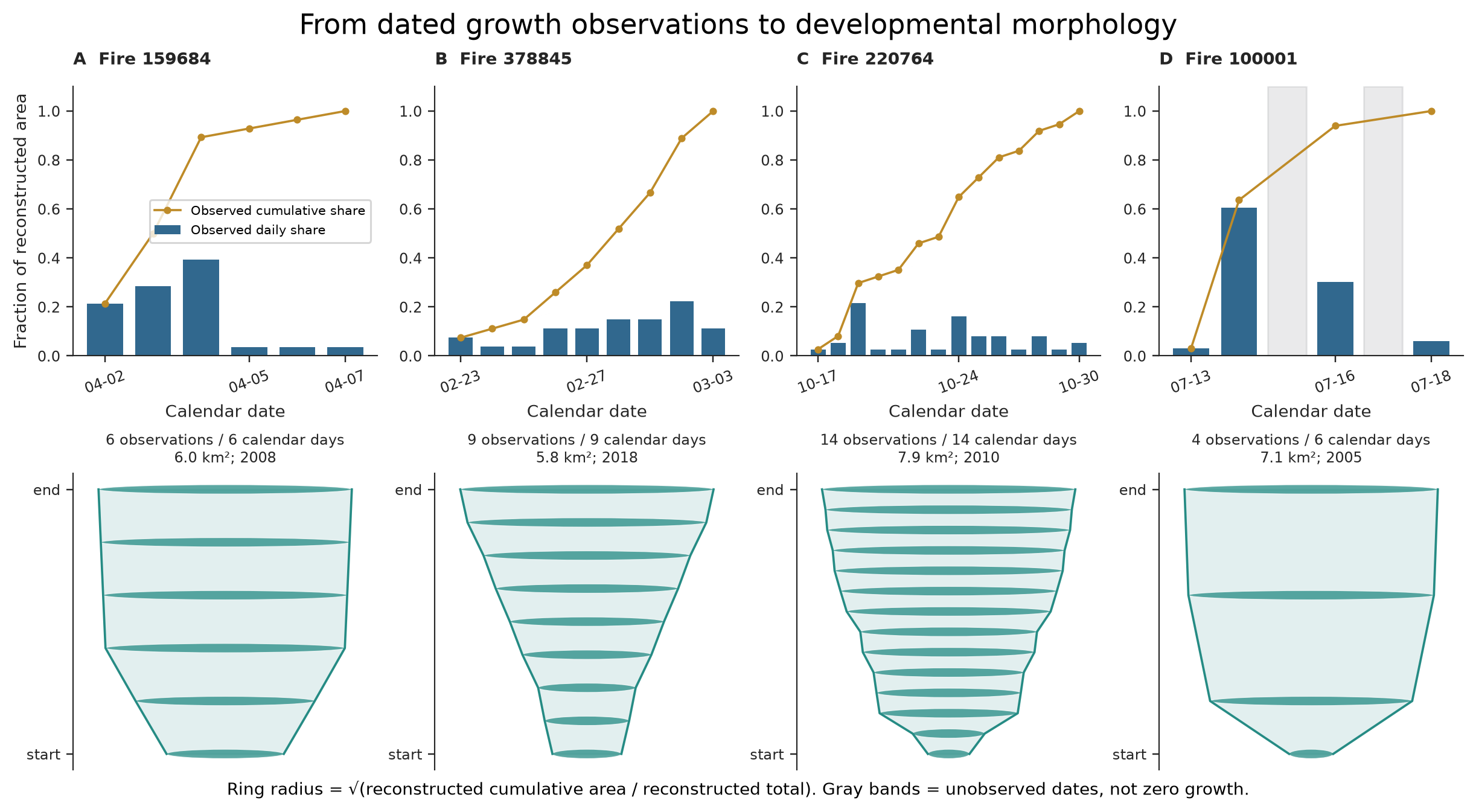 Figure 1: dated real growth observations and VASE encoding.